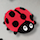 Happy Coccinelle