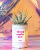 CACTUS EN POT STYLEY ALL YOU NEED IS LOVE